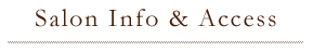 Salon info access