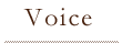 Voice